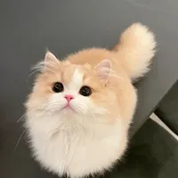 hệ thống 001/ ruby