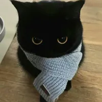 mèo đen (nguyên nguyên)