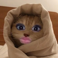 tác giả xinh gái