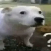 một nhân vật ngẫu nhiên nào đó