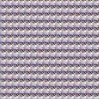 Alan Là Số Một_tác giả