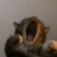 ?¿~{《◇S€vEl\|◇》}~¡! 