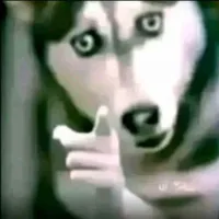 ？？？