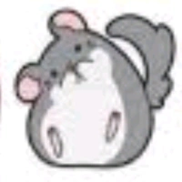 Phương Trường // chinchilla //