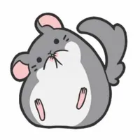 Phương Trường // chinchilla //