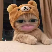 t/g cutephomaique
