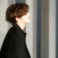 Đinh Trình Hâm (THam)