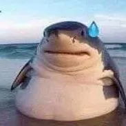 Cá Mập Béo. ⟩ Hệ Thống 002.