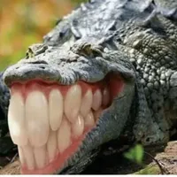 This Name is tác giả