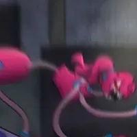 Mommy Longleg(Má tao)