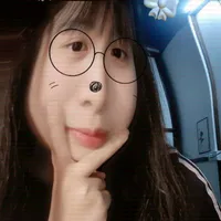 hán lỳ