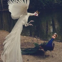 tác giả thành công 