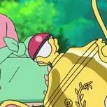 POKÉMON