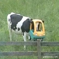 tác giả MÊ LHMN=))