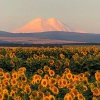 gái đẹp vô cùng tận (t/g)