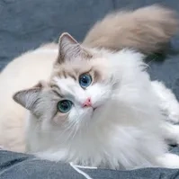 mng trừ ai thì trừ