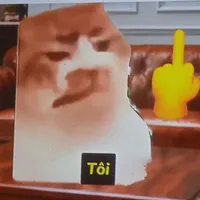 t/g chính