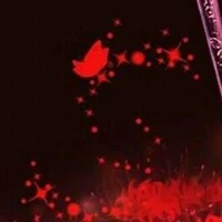 những đứa bạn của Huy