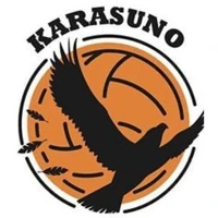 All - Karasuno