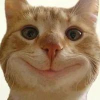 t/g ngáo đá