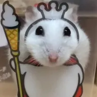 Lôu sống mặt kệ đời
