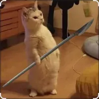 tg báo 