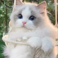 Quản lí không gian