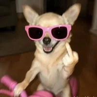 tác giả Hờ Gờ