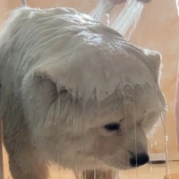 Mưa