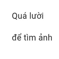 Hệ thống chó
