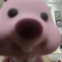 Y/N