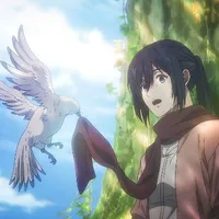 Mikasa