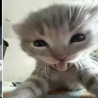 mịtênthậtlàsimmyđâylàphongcáchcủachị