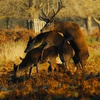 những người không biết tên là gì