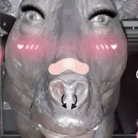 cục cứt heo cute hột me xí muội