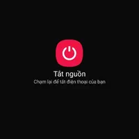 tác giả