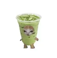 t/g matcha :>