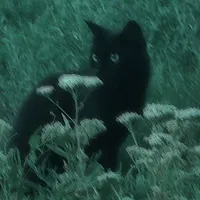 người ấy là ai là áiiii