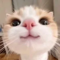tác giả
