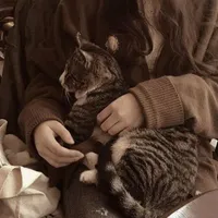 Nguyễn Minh An 🇻🇳♊︎