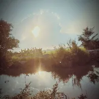NV phụ