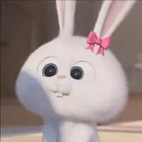 con thỏ mất não