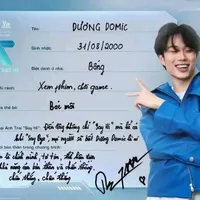 dương domic