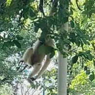 all survivor(trừ ai thì trừ😞) 