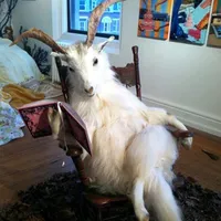 Nhân vật nhiều kiểu