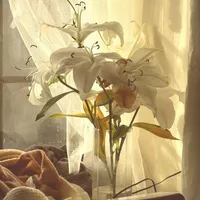 Đa Nhân Vật Nữ