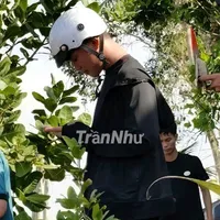Thanh Nhã