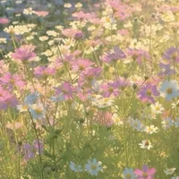 /All_trừ ai cần trừ/