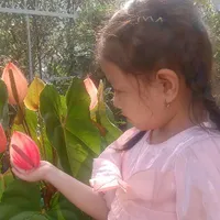 tui