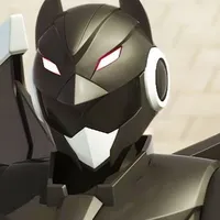 Ray( cục zàng của t)